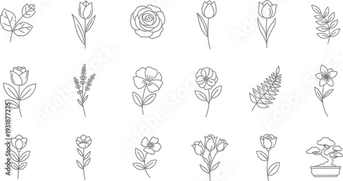 Simple black outline collection of various botanical elements and beautiful flowers