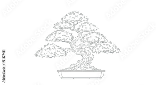 Detailed black and white line art drawing of a cultivated miniature bonsai tree