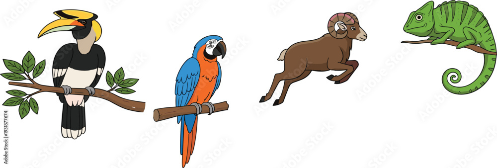 Fototapeta premium Exotic Wildlife Animal Set Featuring Toucan Parrot Ram and Chameleon Colorful Vector Illustration Collection