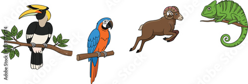 Exotic Wildlife Animal Set Featuring Toucan Parrot Ram and Chameleon Colorful Vector Illustration Collection