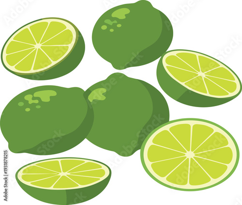 Fresh Green Lime Whole and Sliced Citrus Fruit Vector Illustration Isolated on Light Background for Healthy Food Design