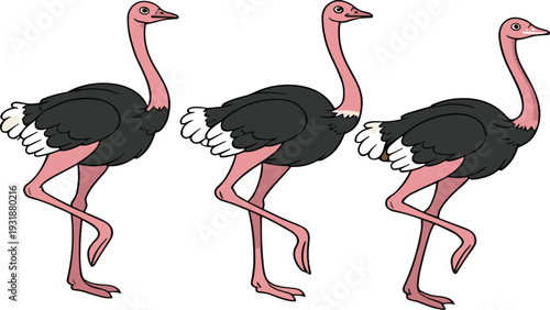Realistic Ostrich Bird Illustration Set with Standing African Wildlife Animal Isolated on Light Background