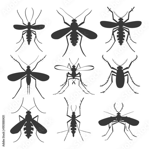 A Set of Nine Black Silhouette Mosquito Illustrations
