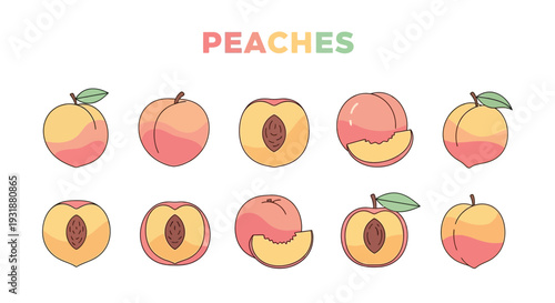 Illustration of ten peaches whole and sliced with the title PEACHES above