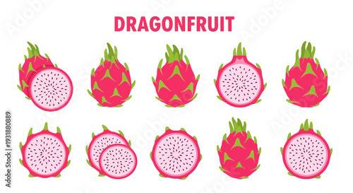 Pink and white dragon fruit illustrations whole and sliced against a white background