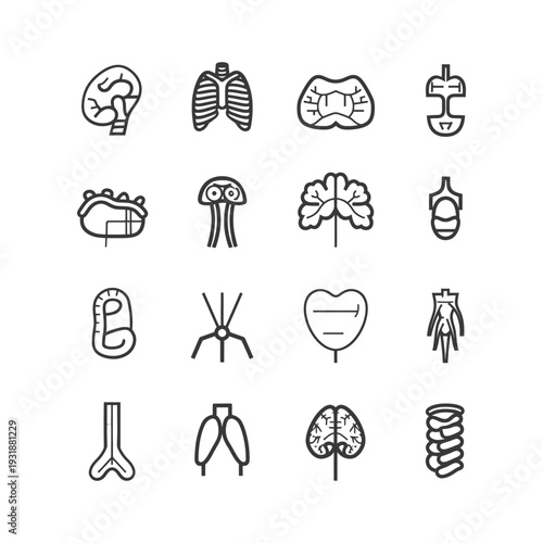 A Set of Sixteen Outline Icons Depicting Human Organs