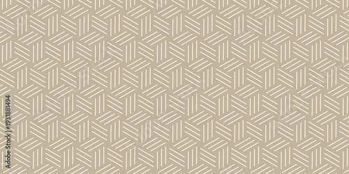 Elegant geometric pattern with hexagonal triangular line background. Futuristic minimal honeycomb mosaic gray background.