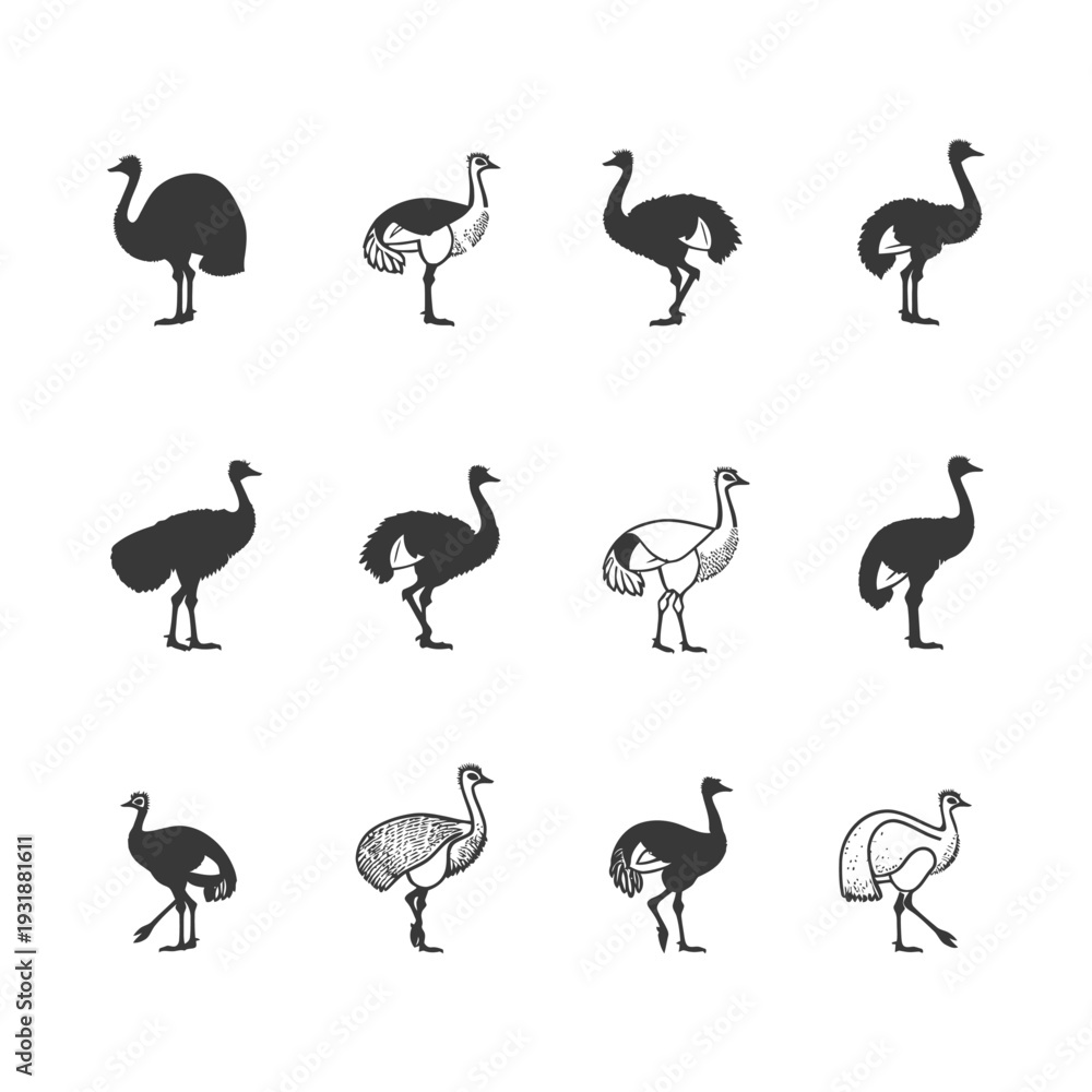 Obraz premium A Set of Twelve Ostrich Silhouettes in Different Poses