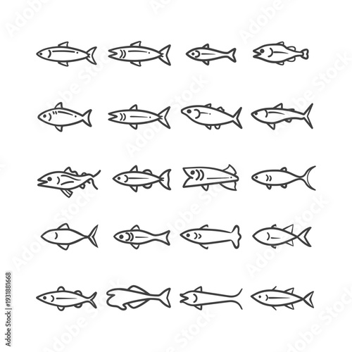 A Set of Twenty Outline Fish Illustrations