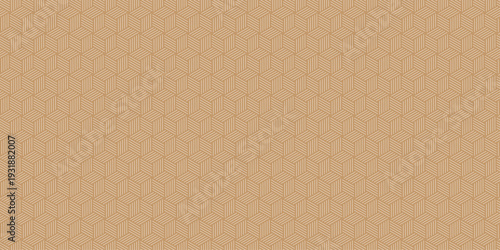 Elegant geometric pattern with hexagonal triangular line background. Futuristic minimal honeycomb mosaic gray background.