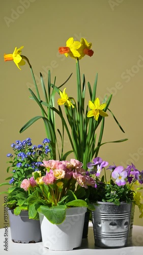 Floral arrangement with spring flowers. Slow rotation