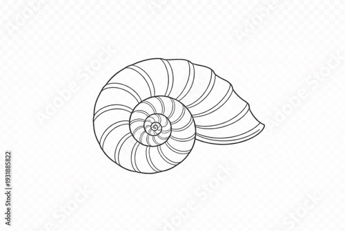 Elegant Spiral Seashell Line Art Vector Illustration: Minimalist Ocean Marine Life Outline Graphic for Beach Designs, Nature Concepts, and Coastal Decor. Perfect for Logos, Icons & Educational Use.