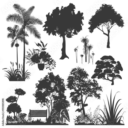 Black and White Silhouettes of Trees, Plants, and a Bench in a Park