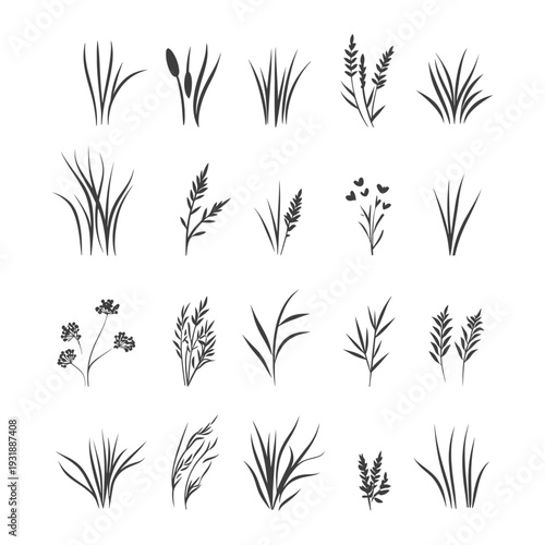 Collection of Black and White Grass and Wildflower Silhouettes
