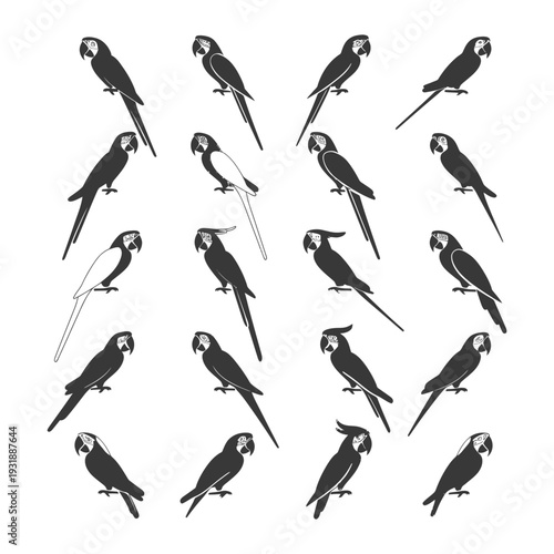 Collection of Black and White Parrot Silhouettes