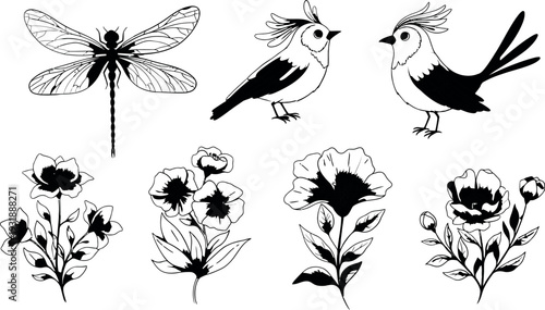 Dna supercoiling and intertwined double helix structure