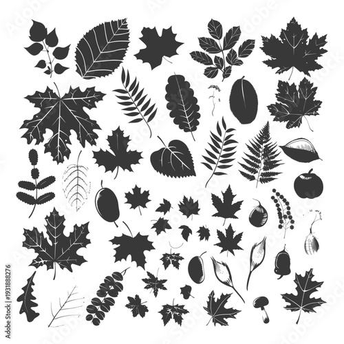 Collection of Black Silhouettes of Leaves, Berries, and a Mushroom
