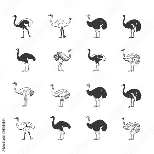Collection of Detailed Ostrich Silhouettes in Various Poses