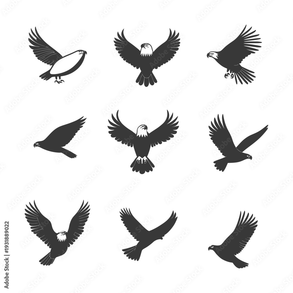 Fototapeta premium Collection of Eagle Silhouettes in Flight