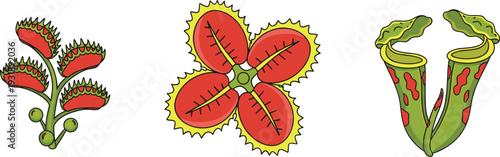 Colorful Vector Illustration Set of Carnivorous Plants Featuring Venus Flytrap and Pitcher Plant Species with Vibrant Red and Green Details for Botanical Nature Design