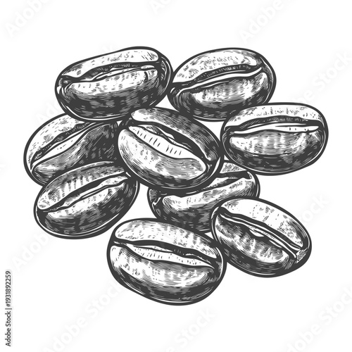 Hand-drawn illustration of eight coffee beans