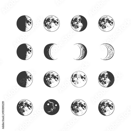 Hand-drawn Monochrome Illustrations of the Lunar Cycle