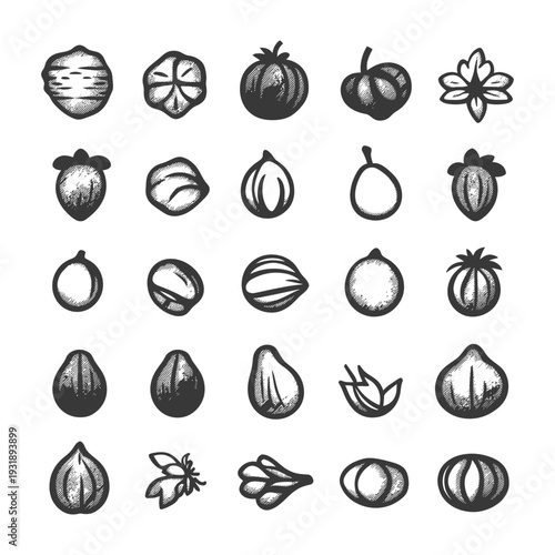 Hand-Drawn Sketch of Various Nuts and Seeds
