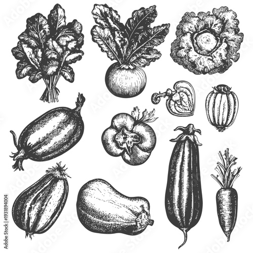 Hand-drawn Sketch of Various Vegetables