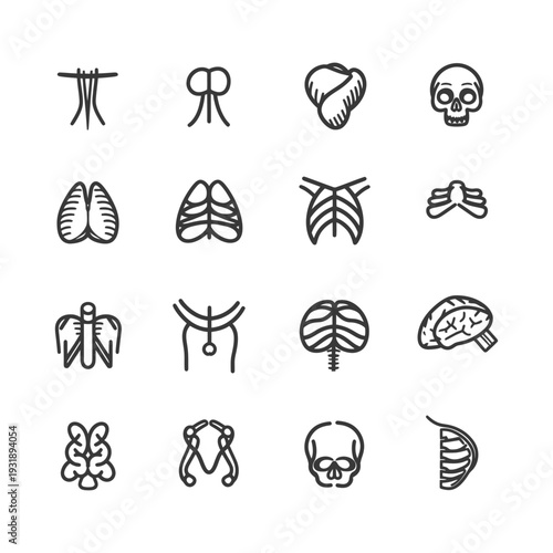 Human Anatomical Outline Icons