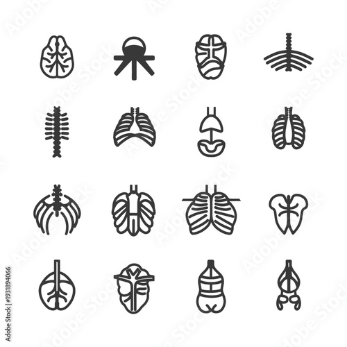 Human Internal Organs and Spinal Column Line Icons