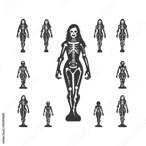 Multiple female skeletons in various poses