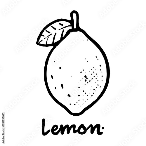 Lemon Fruit Sketch Illustration in Modern Hand Drawn Style.