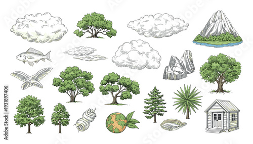 Hand-drawn set of colorful nature elements including trees, clouds, a mountain, fish, bird, and a small shed in a detailed vintage woodcut illustration style
