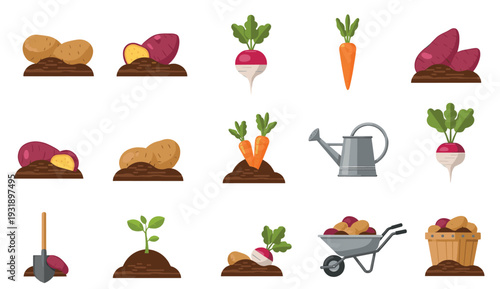 Set of gardening and farming icons featuring root vegetables like potatoes, carrots, and radishes with tools like a shovel, watering can, and wheelbarrow for planting and harvesting