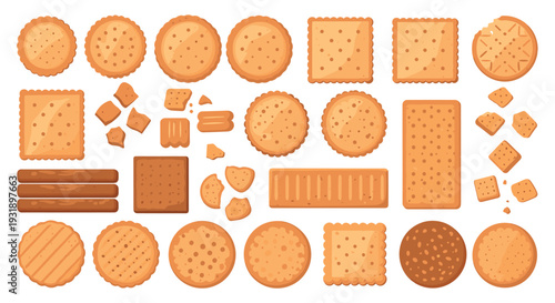 Collection of various cartoon crackers and biscuits in different shapes like round, square, and rectangular, showing a delicious assortment of baked snacks and treats in a flat vector style