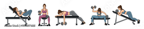 Collection of illustrations showing a fit woman performing various dumbbell exercises on a workout bench for a complete strength training routine