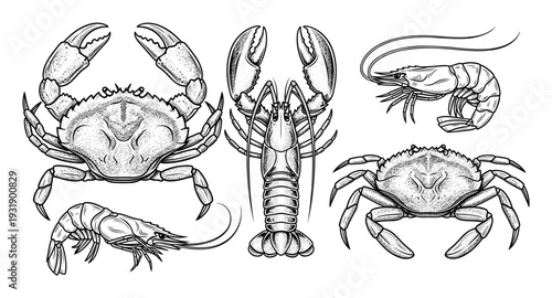 Hand-drawn seafood collection of crabs, lobster, and shrimp in a detailed black and white vintage woodcut style with stippling, representing classic marine life illustrations