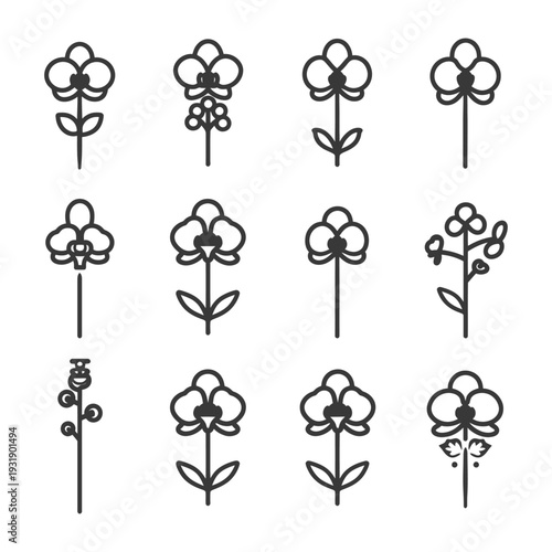 Set of 12 Line Art Orchid Flower Icons