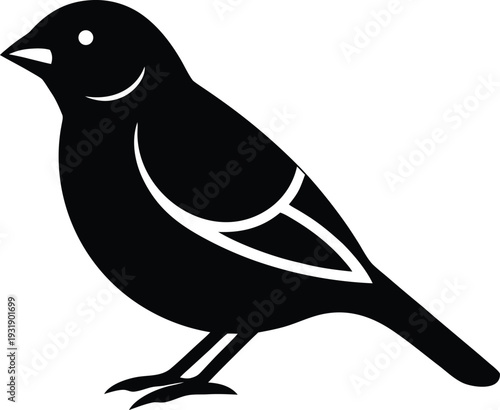 Red Billed Quelea Silhouette Vector Art Illustration