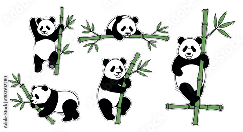 Charming set of five cartoon pandas in playful poses climbing, sleeping, and hugging green bamboo stalks, a cute hand-drawn illustration of adorable black and white bears