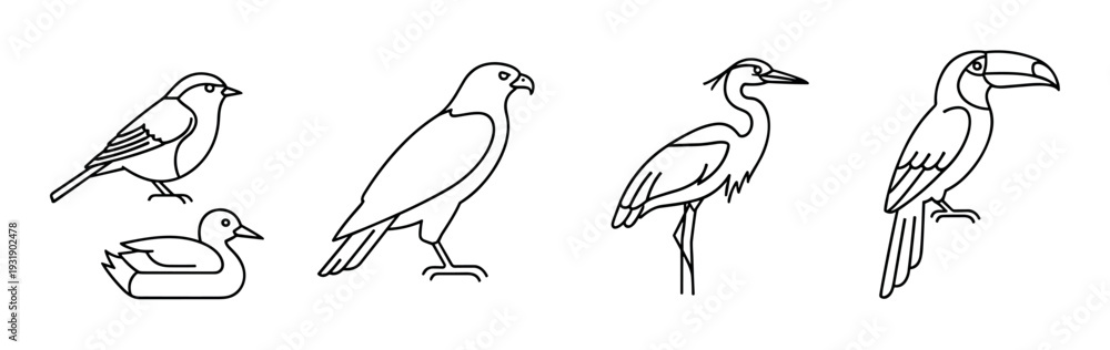 Fototapeta premium Collection of five different bird illustrations in a minimalist black line art style, featuring a toucan, heron, eagle, duck, and sparrow as a graphic icon set