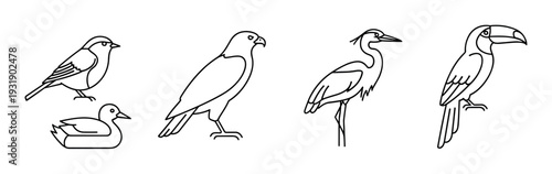 Collection of five different bird illustrations in a minimalist black line art style, featuring a toucan, heron, eagle, duck, and sparrow as a graphic icon set