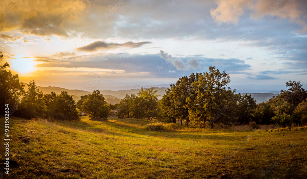 Fototapeta premium Campiglia D'orcia, Siena, Tuscany, Italy: Golden sunset over rolling hills and trees