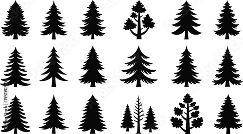 Black silhouettes of various pine trees on white background tree silhouettes black and white evergreen trees