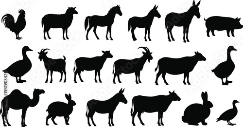 Black silhouettes of various farm and domestic animals on white background animal silhouettes farm animals