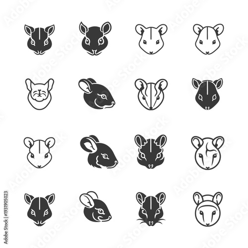 Set of Chinchilla Head Icons in Different Styles