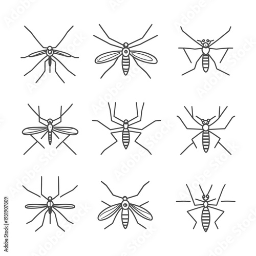 Set of Nine Line Drawings of Mosquitoes with Varied Details
