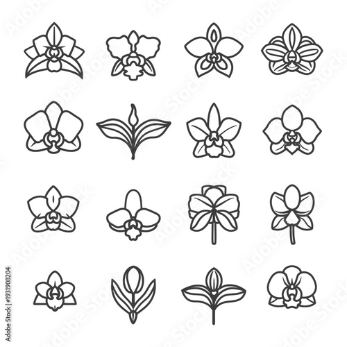 Set of Orchid Flower Line Icons with Different Views and Variations