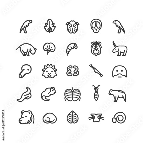 Set of Outline Animal Icons