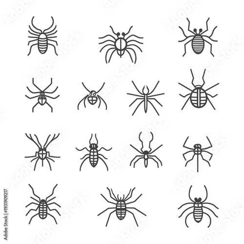 Set of various spider illustrations, drawn in black outline